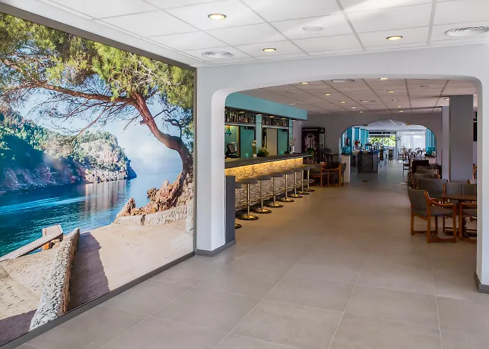 Nura Boreal 酒店 帕尔马海滩