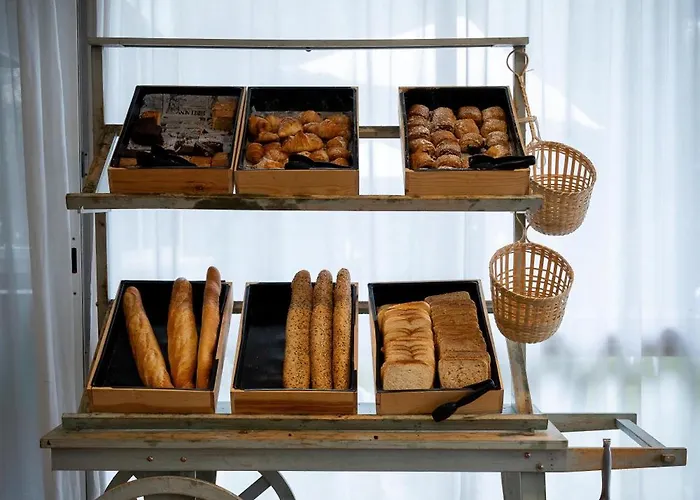 酒店 Nura Boreal 帕尔马海滩